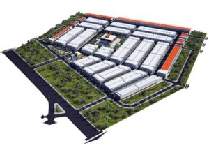 THÔNG TIN CHI TIẾT VẠN PHÁT CÁI TẮC